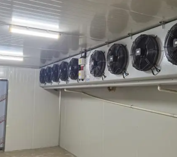 速凍冷庫的優點有哪些？_上海開冉制冷